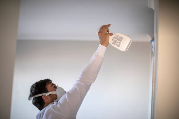 Best Mold Testing and Removal  in Roanoke, TX