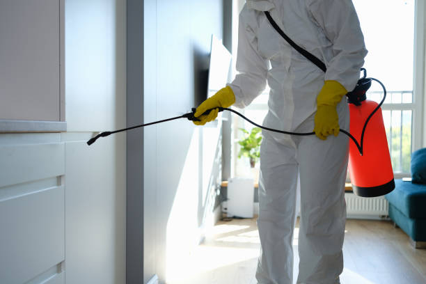 Best Office Mold Removal Services  in Roanoke, TX