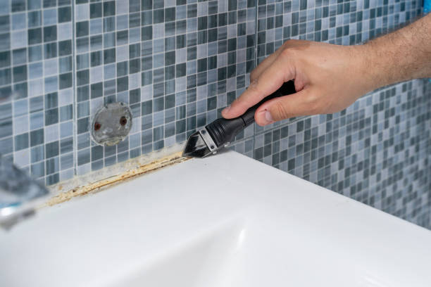 Mold Removal Process in Roanoke, TX